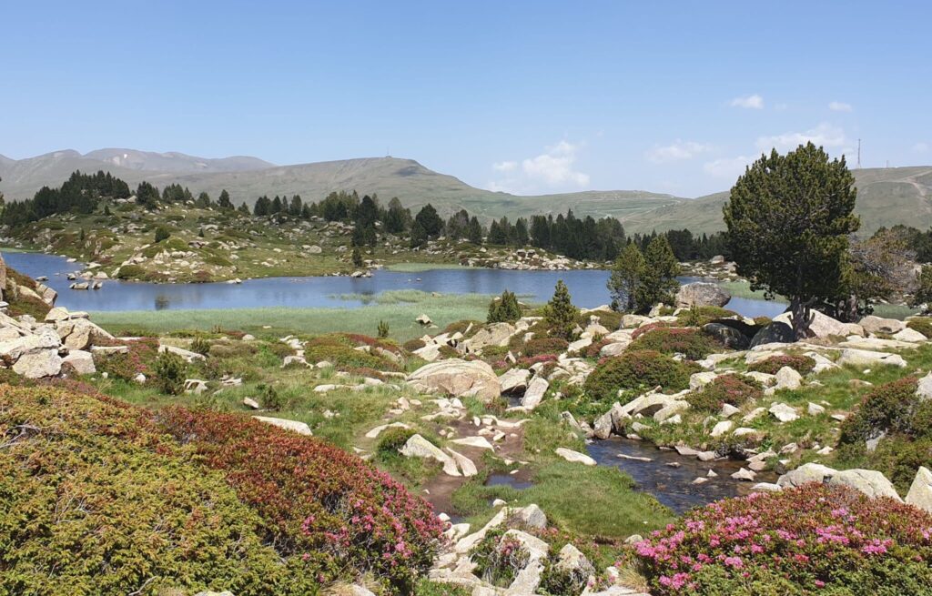 Andorra-en-verano