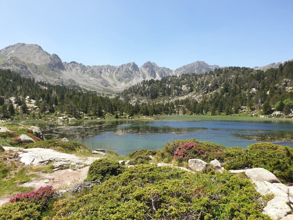 estany primer de pessons